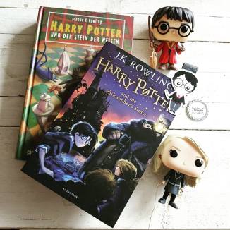 13457548_1031832763553072_1318701685_n