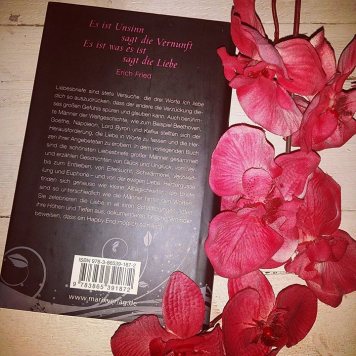 13511470_1035081293228219_1629897544_n