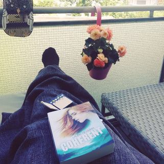 13536081_1038686682867680_2003239828_n