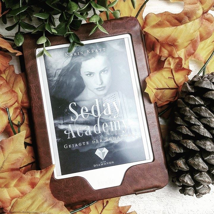 Rezension: Karin Kratt – Seday Academy&nbsp;1
