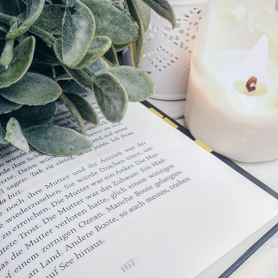 16838113_1241910359211977_513521146_n