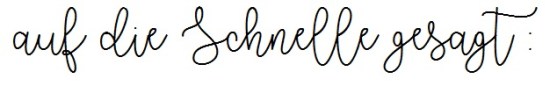 auf die schnelle gesagt.jpg