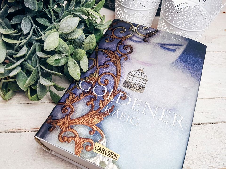 19553854_1908940389370478_7002031949654645336_n