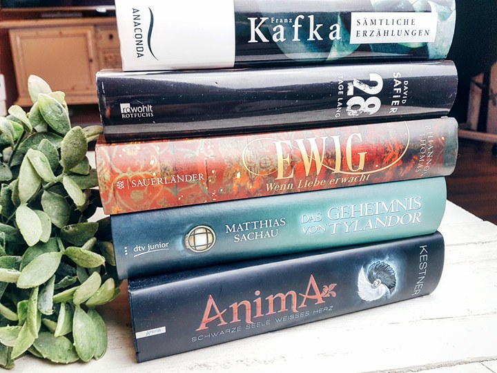 19904378_1372507926152219_250645596_n