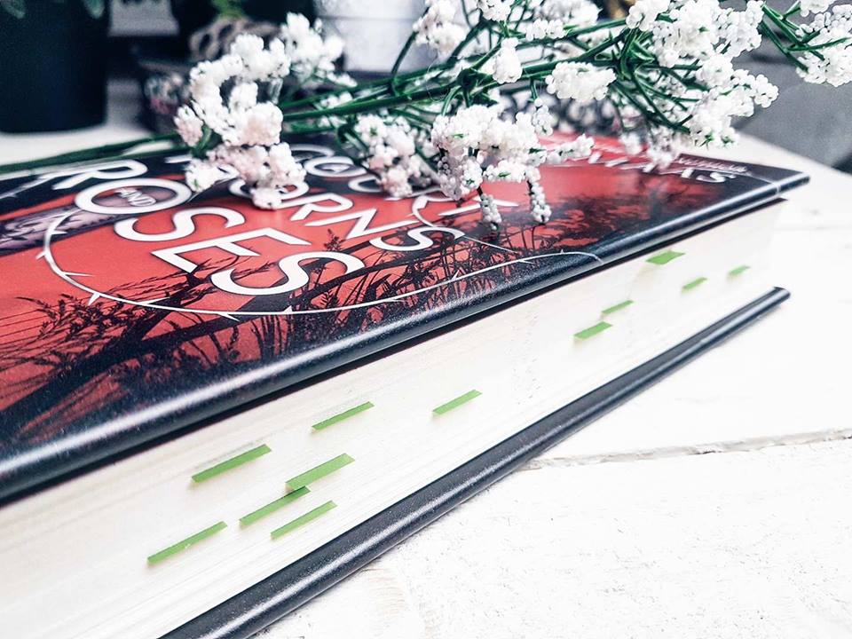 20136580_1381591315243880_2019287319_n