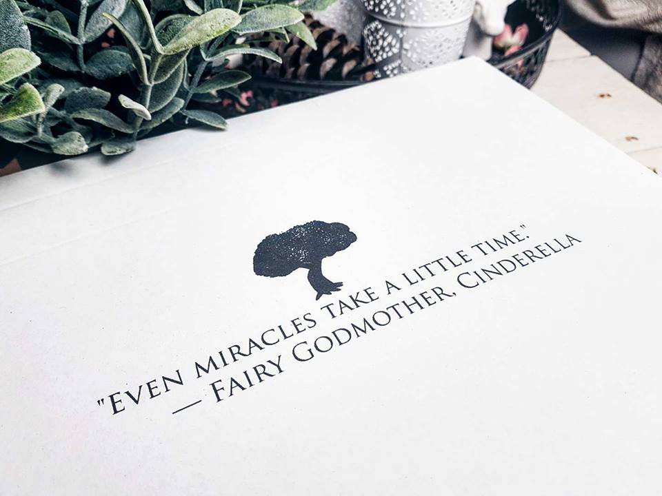 Unpacking: Bücherwunderland Box August | Rich and Royal