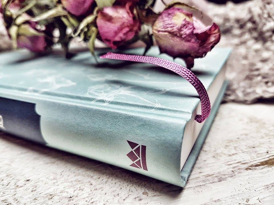 Lieber Daddy Long Legsd