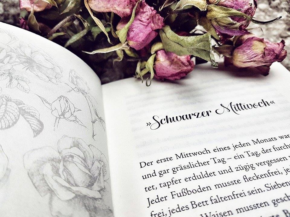 Lieber Daddy Long Legse