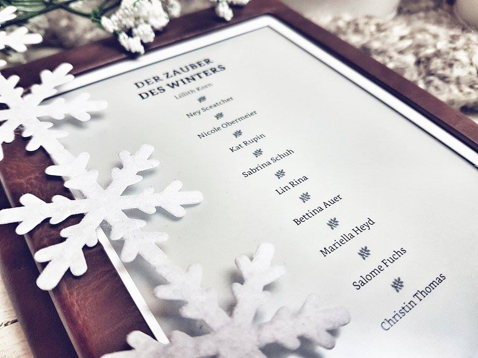 Der Zauber des Winters2