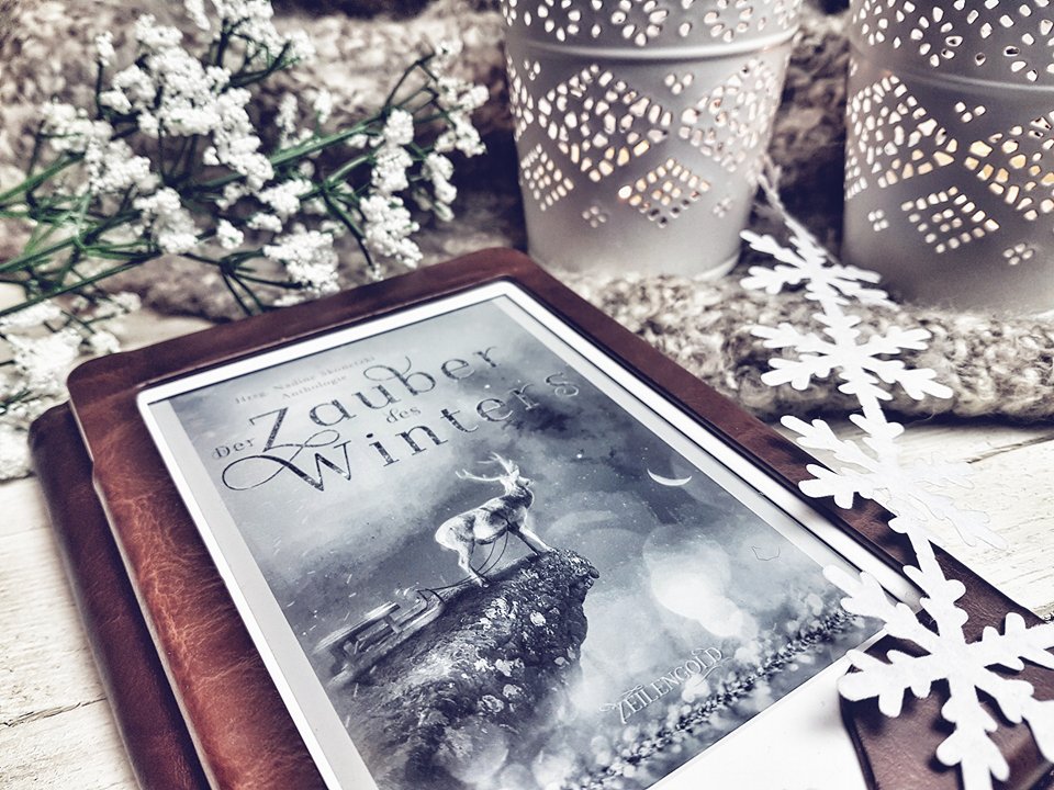 Der Zauber des Winters4