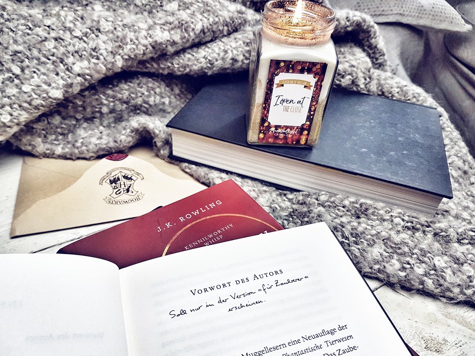 Harry Potter Schulbücher3