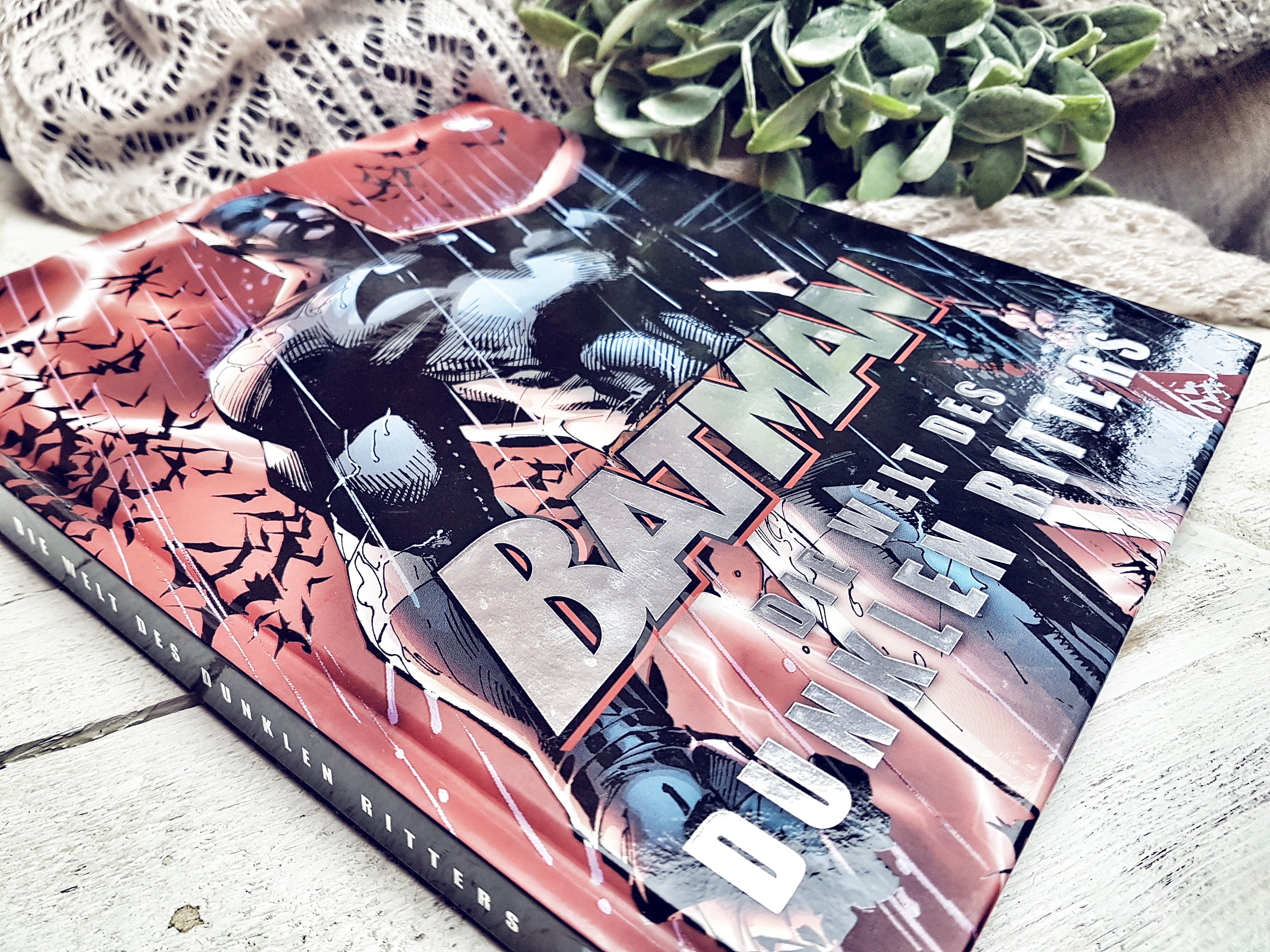 Batman Die Welt des dunklen Ritters