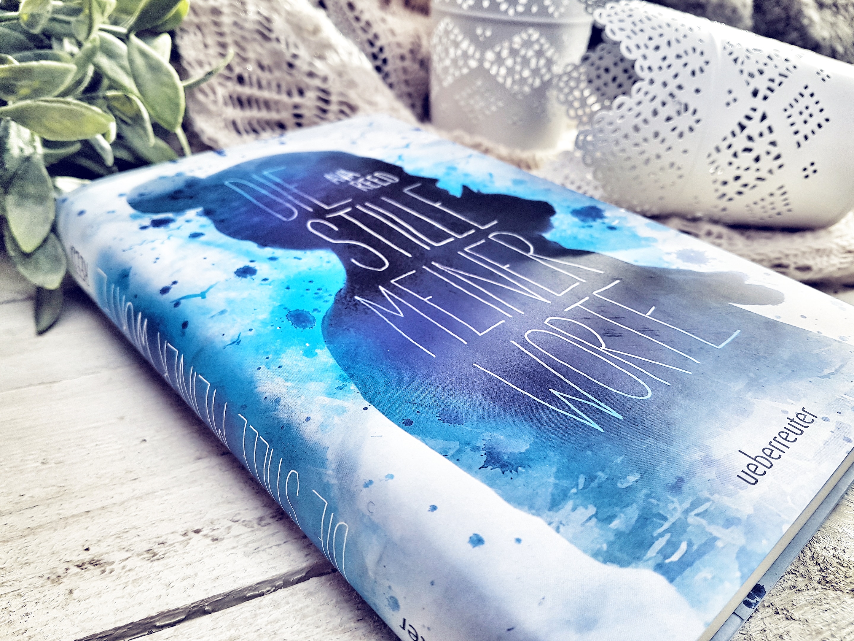 Die Stille meiner Worte