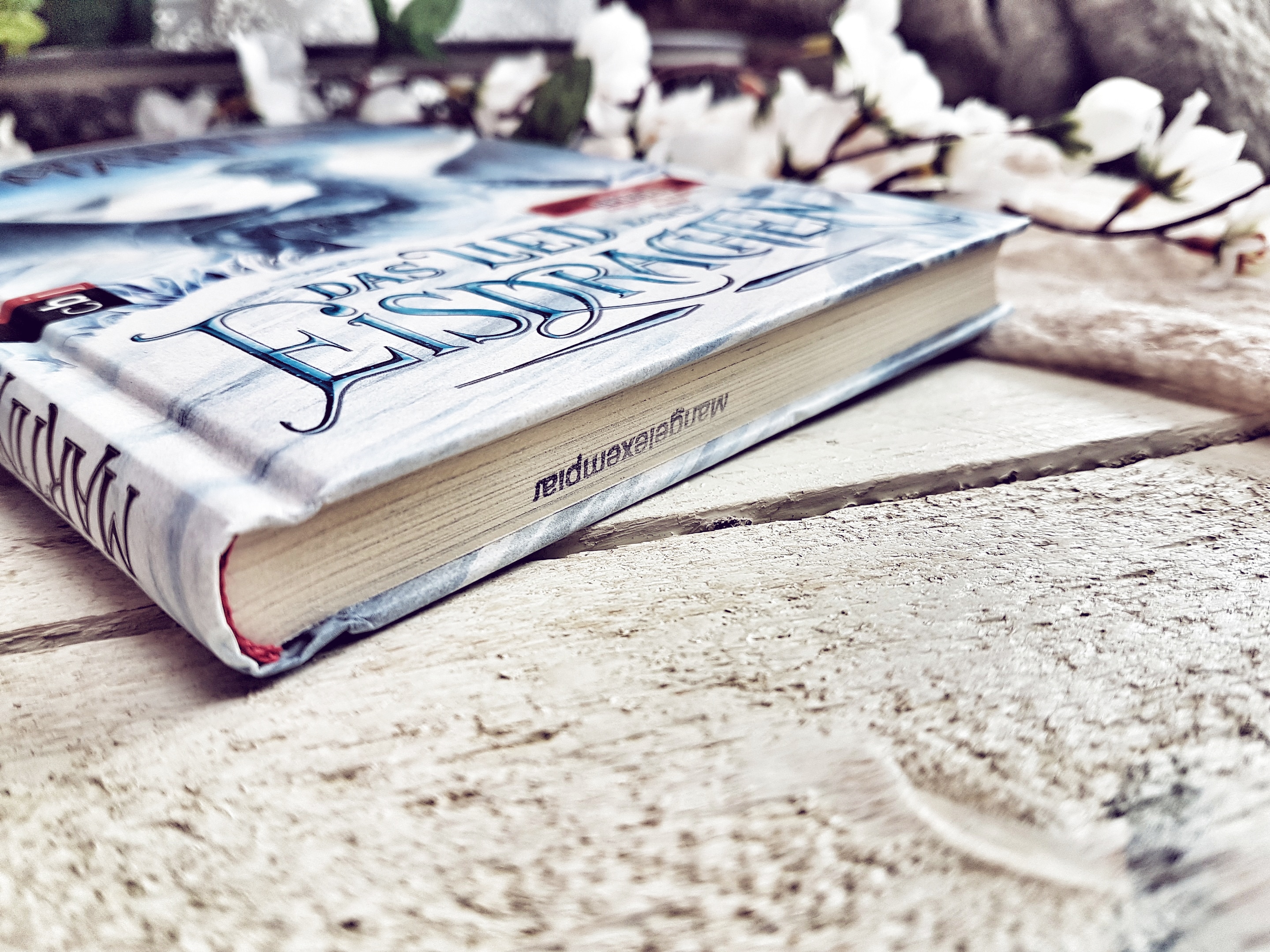 Das Lied des Eisdrachen1