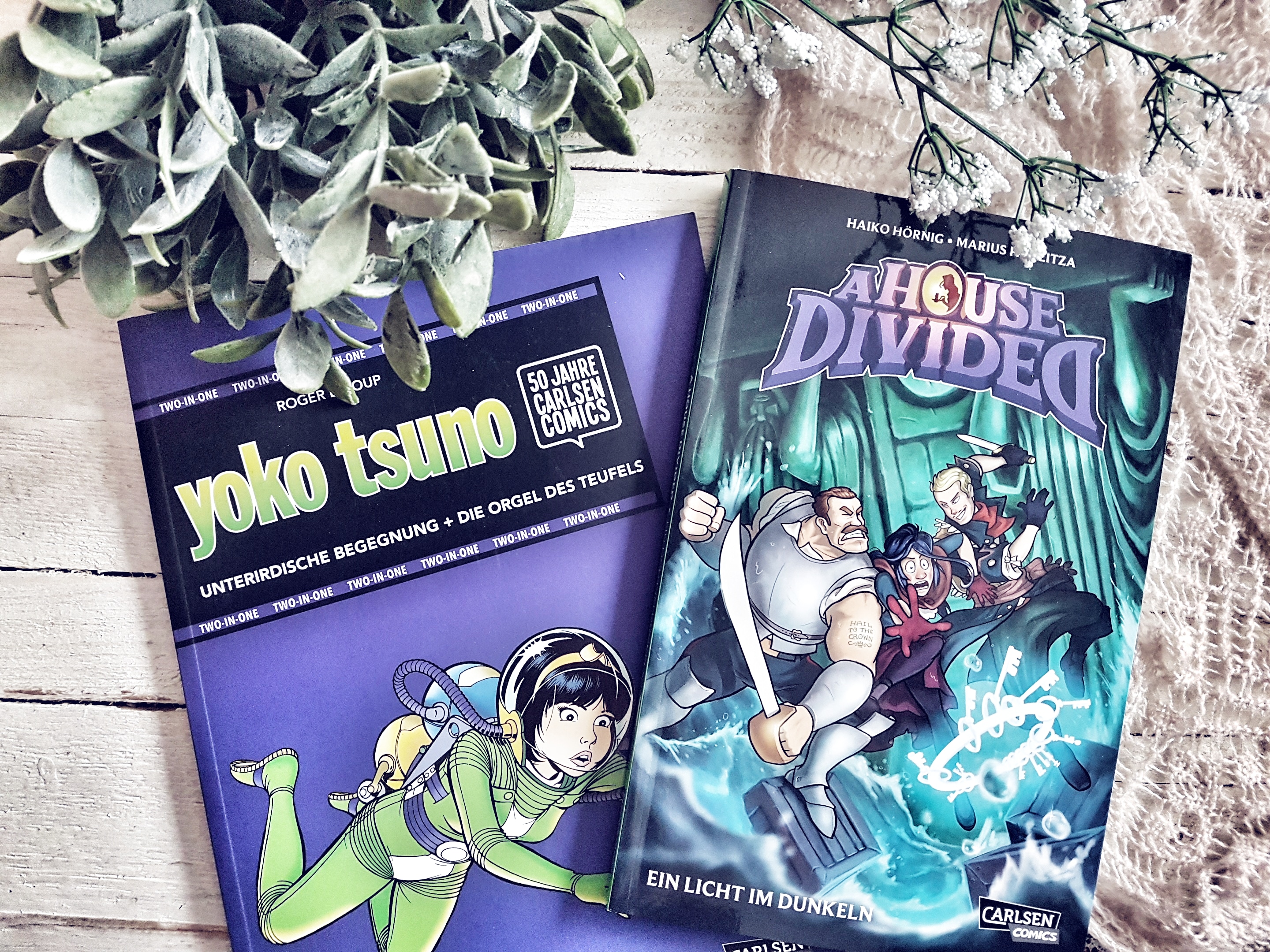 Yoko Tsuno A House Divided