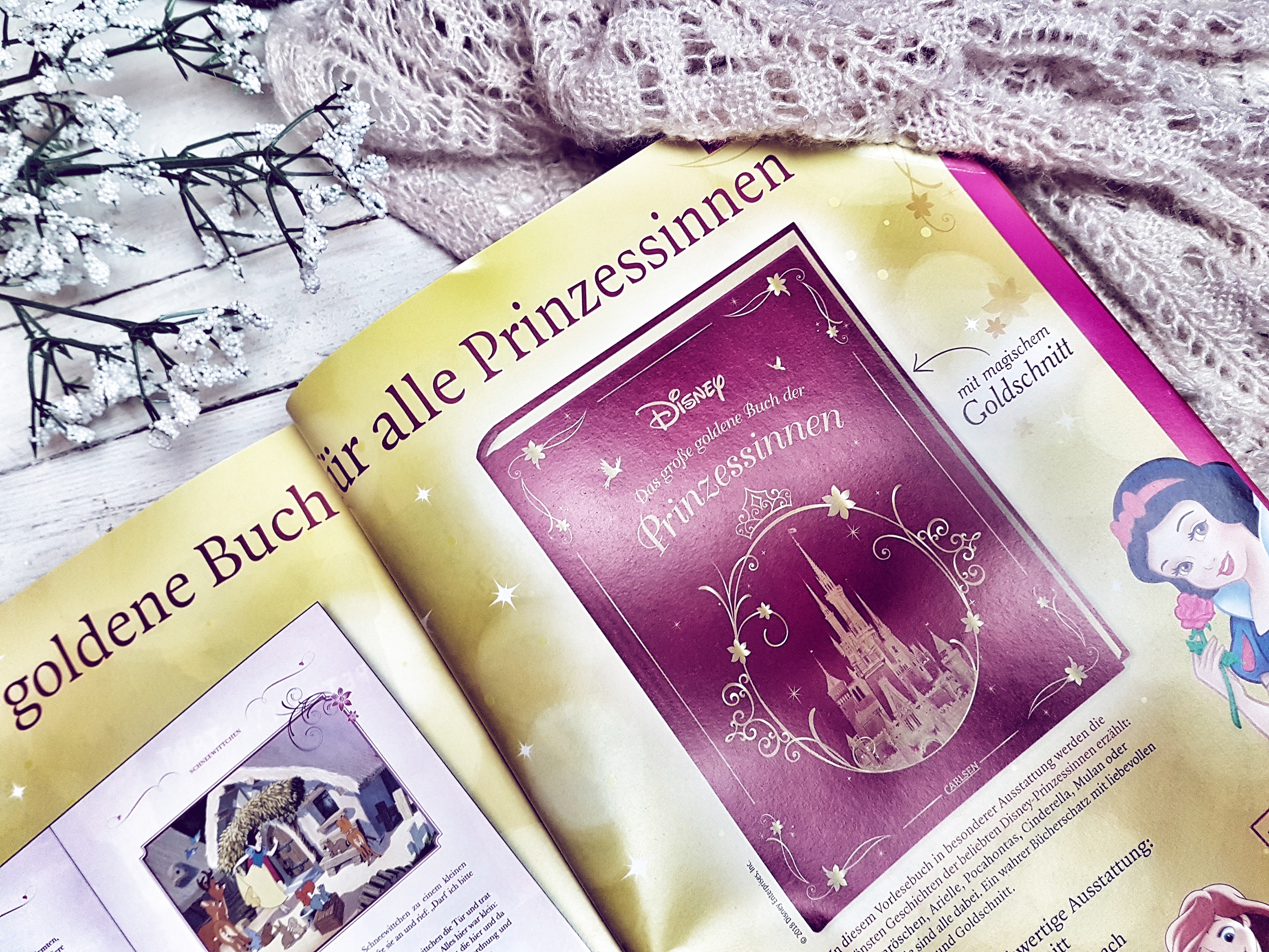 Carlsen Herbst Winter 201812