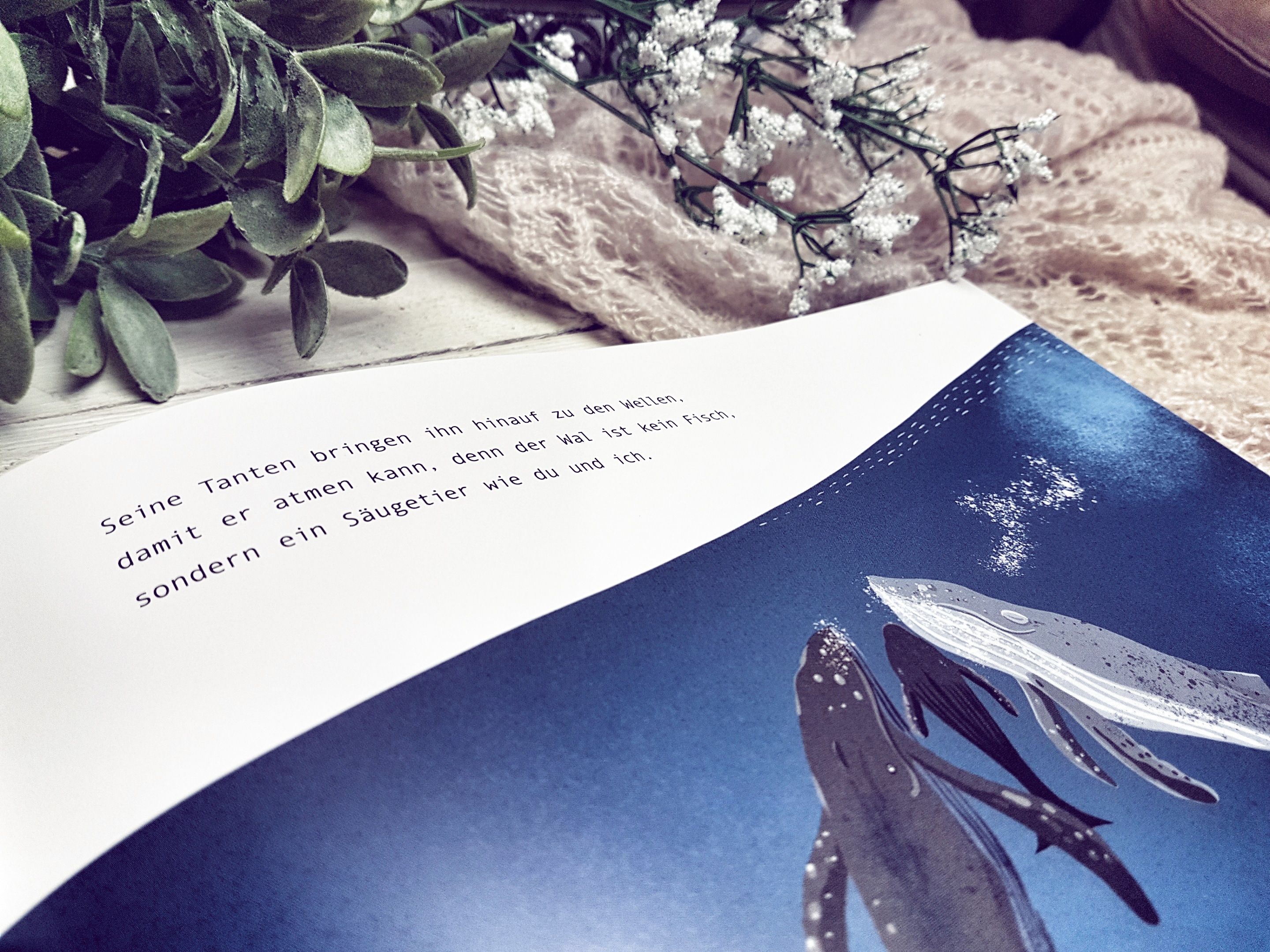 Der einsamste Wal der Welt1