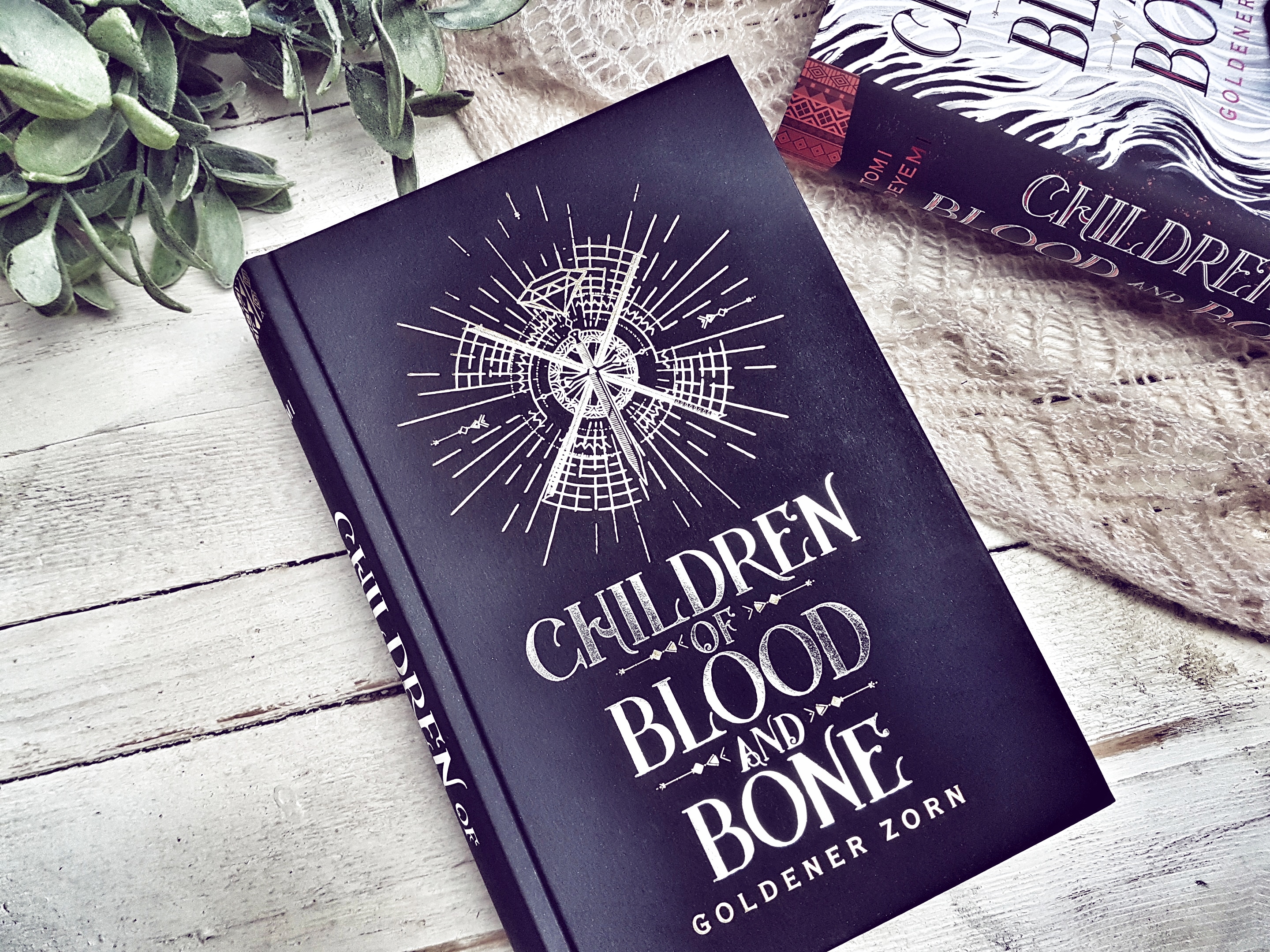 Children of Blood and Bone4