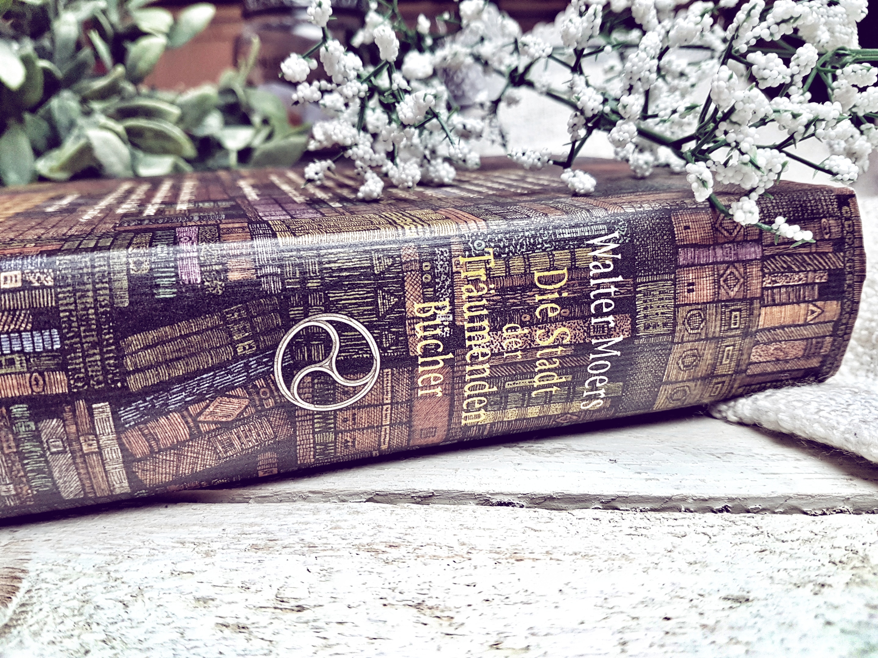 Die Stadt der träumenden Bücher2