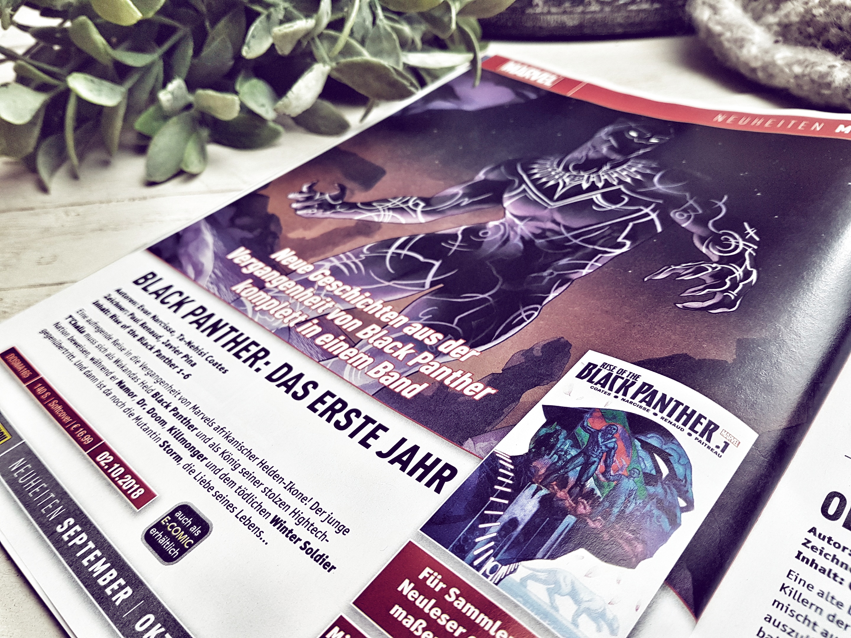 Panini Vorschau Herbst2