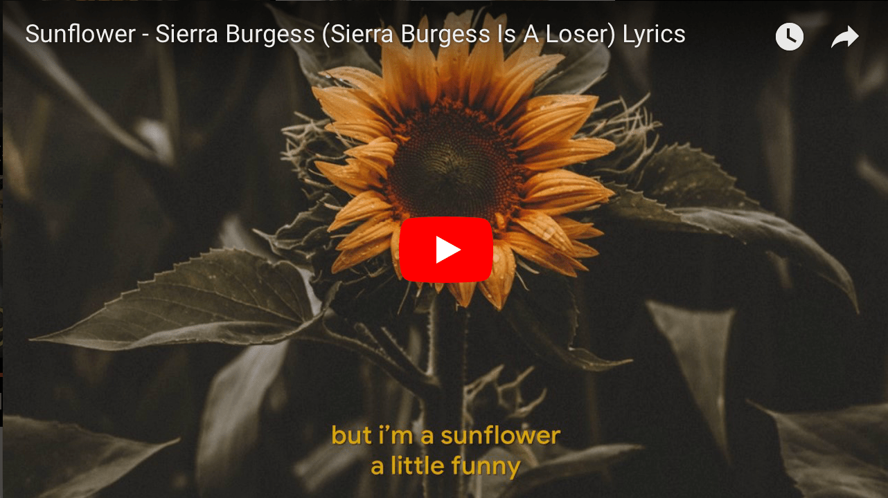 Bildschirmfoto 2018-09-16 um 12.26.58.png