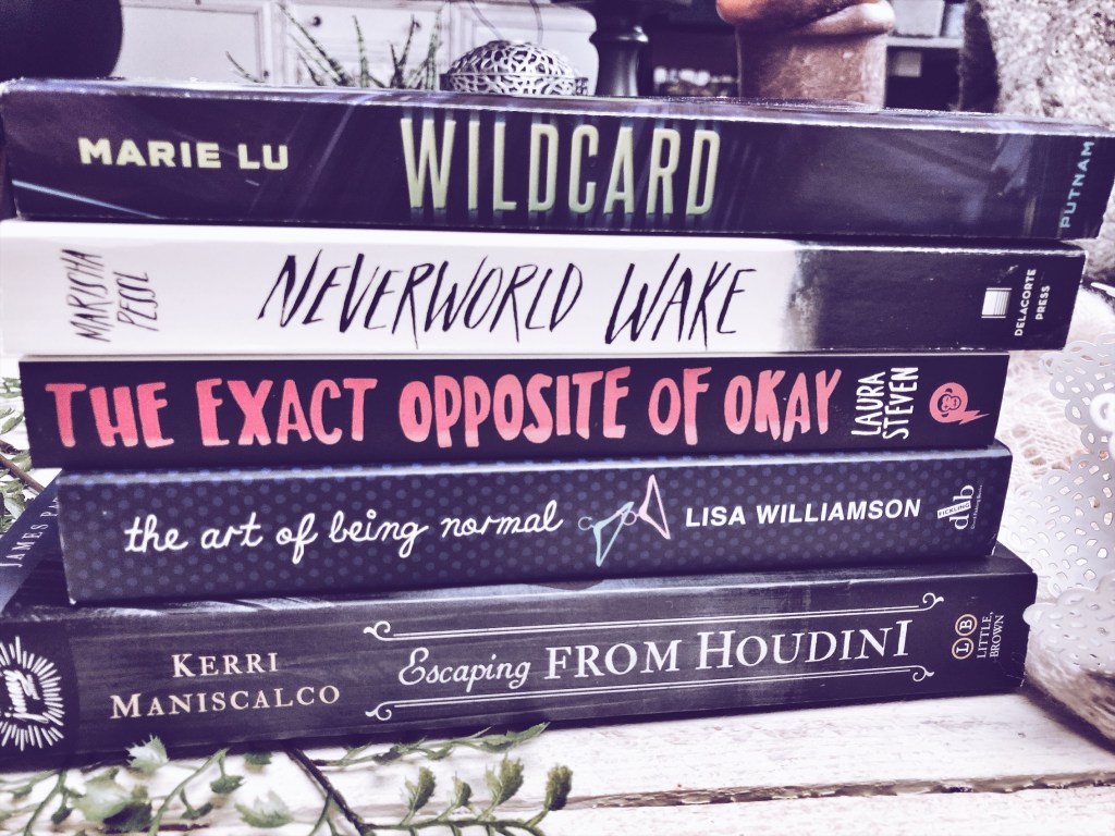 Book Haul | Englische&nbsp;Neuzugänge