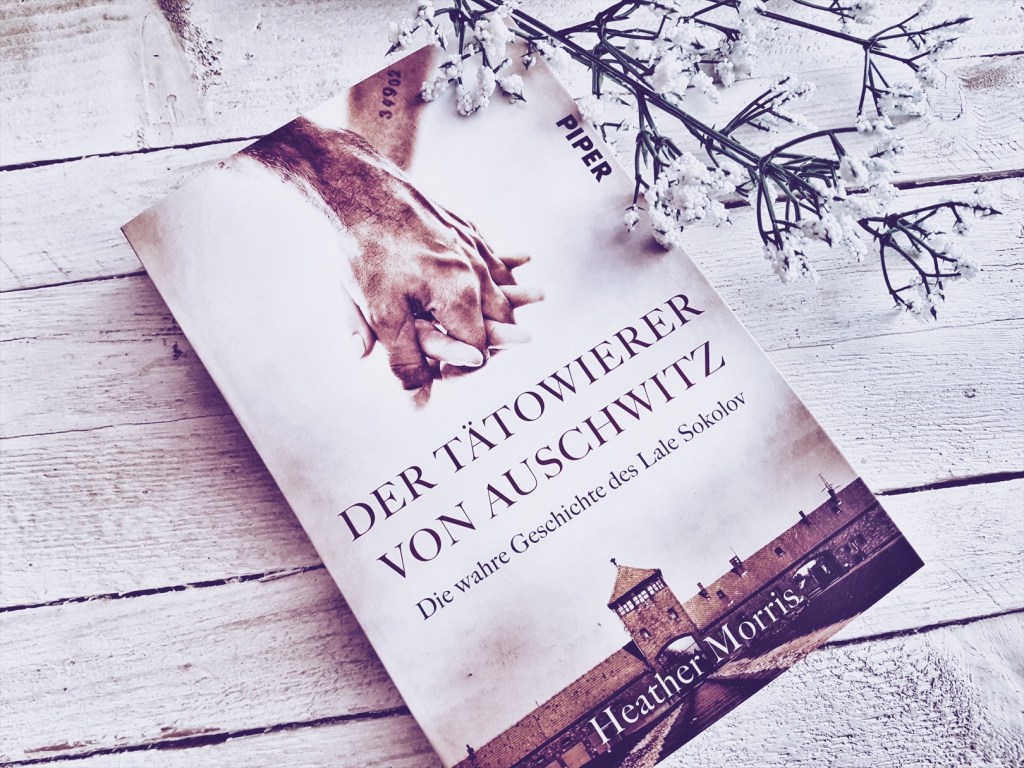 Media Monday #388 | Lieblingsserien, Fallout 76 und ein&nbsp;Buchtipp