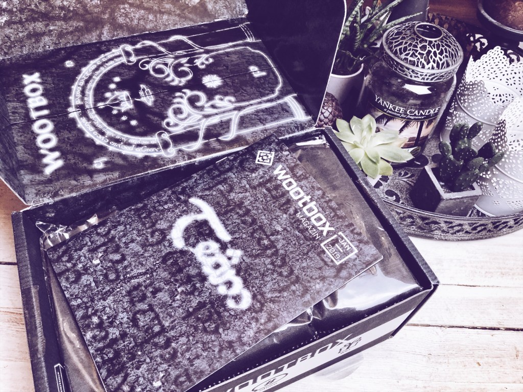 Unpacking | Wootbox Januar – TEAM&nbsp;[Werbung]